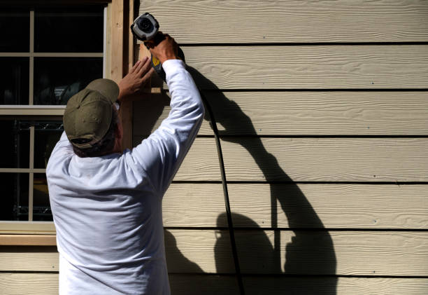 Affordable Siding Repair and Maintenance Services in Sandusky, OH
